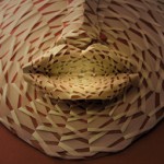 Benedetta Frezzotti - Studio Platypus